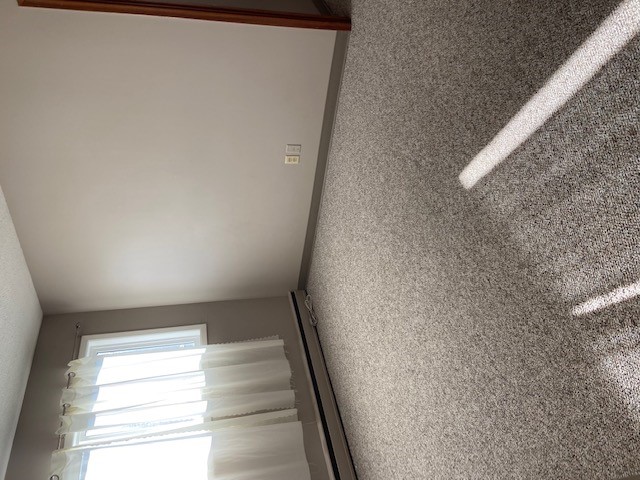 1314 College DR 1 Bedroom full Suite to Rent 